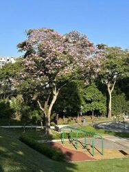 Tagore Avenue (D26), Terrace #576804701